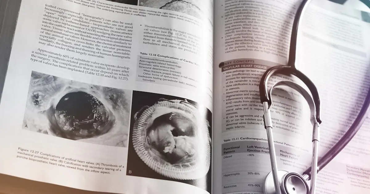 Forskningsdata och studier om D-vitamin och testosteron